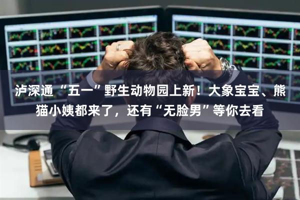 泸深通 “五一”野生动物园上新！大象宝宝、熊猫小姨都来了，还有“无脸男”等你去看